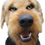 Halloween Airedale Terrier