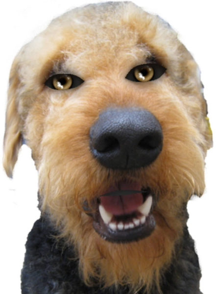 Halloween Airedale Terrier